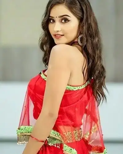 Call Girls Service Kolayat